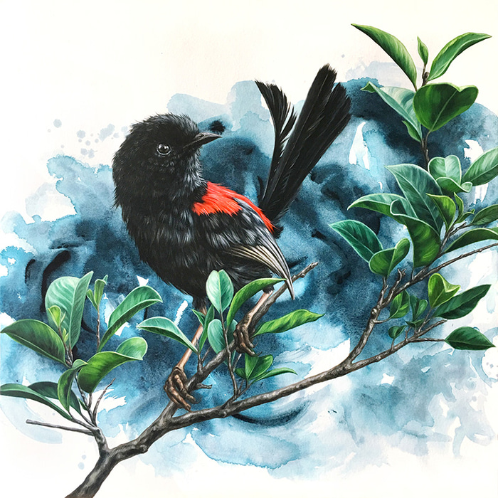 Discerning by Alex Louisa | Lethbridge Gallery